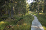 Bayerischer Wald  Böhmerwald