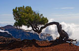 Madeira Bergwandern