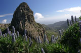 La Gomera Highlights für Alleinreisende