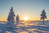 Lappland Schneeschuhtour