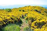 Ardèche individuell